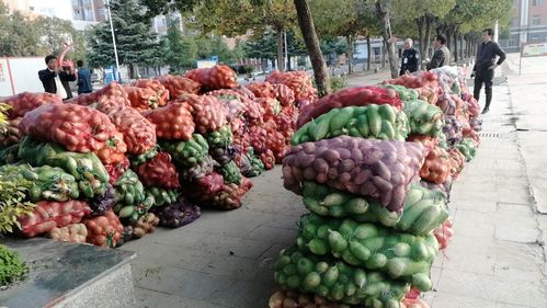 小蘿卜，大愛心 阜南教育助力濛洼地區貧困戶農產品銷售